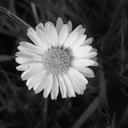 Jill Kruger - @Jileeann8 - Twitter