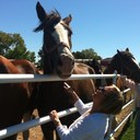 Kim Grass - @kim_grass - Twitter