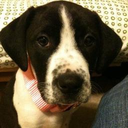 GTdevon's profile picture. 