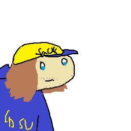 sweg