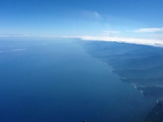 antverde's profile picture. 