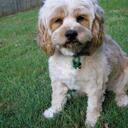 Jarod Dunn - @TGkicksass - Twitter