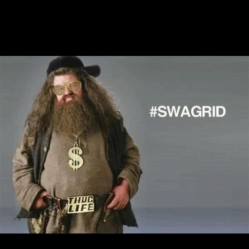 Keeper of Keys and Grounds at Hogwarts boiiiii.