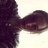 HicksBrittany's profile image