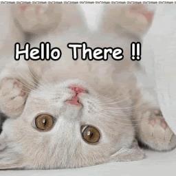 Pariscwf's profile picture. Korean Ginseng Tea Seller - bring youth & energy ~~free sample !!