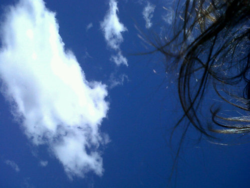 caritonop's profile picture. 