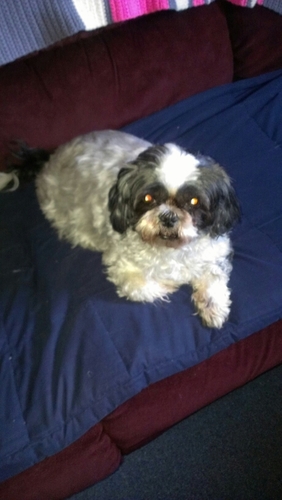 jenn71704's profile picture. 