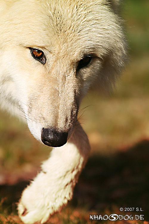 anonymousblog88's profile picture. duh