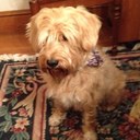 AnnetteBush - @AnnetteBush2 - Twitter