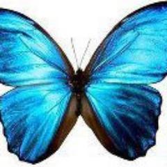 Rose97778's profile picture. 