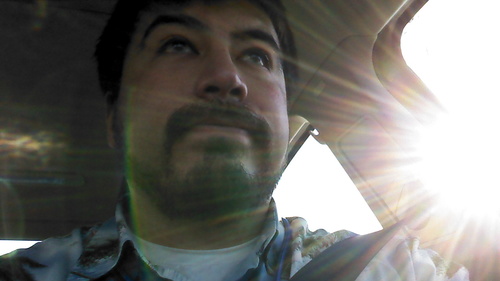 torb81's profile picture. 