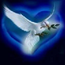 nelpaola's profile picture. EL TIEMPO DE DIOS ES PERFECTO