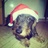 savman_pro's profile image