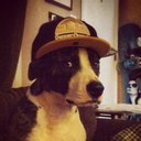 Chris Schultze - @schlitz01 - Twitter