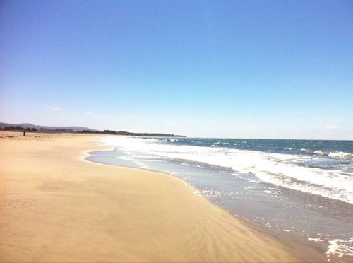 rstravelleisure's profile picture. 