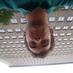 Stuart Anderson (@swander) Twitter profile photo Stuart Anderson (@swander) Twitter profile photo