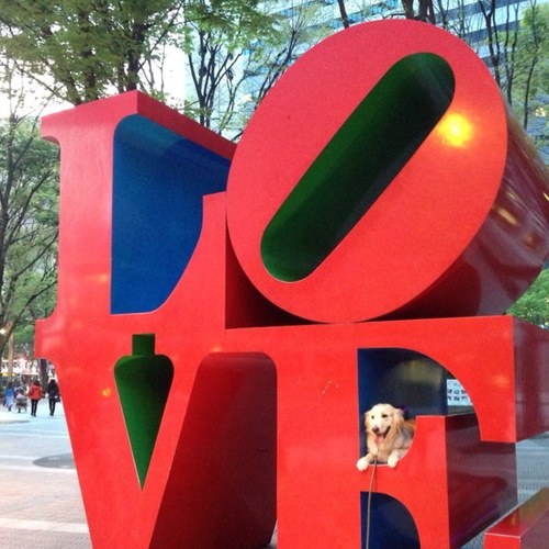 rmat3428's profile picture. 