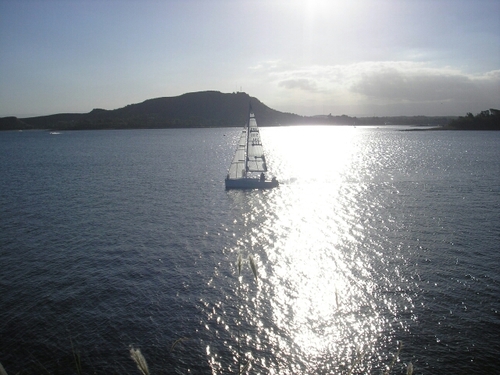 chsgrillo's profile picture. 