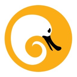 iOS app design and development team