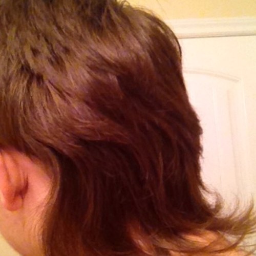 alexholden15's profile picture. I dont know what to say here