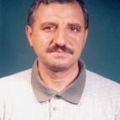 Professor in KSU and translator