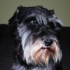 дружу, работаю, общаюсь #TeamFollowBack #FOLLOWBACK