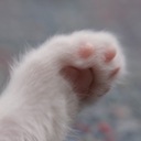 Ryan Te - @TeTengHuat - Twitter