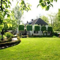 Wij zijn een Brits Korthaar cattery in Liempde (NB) en we fokken in de effen kleuren. http://t.co/A5cX3C5S, neem ook eens een kijkje op onze website.