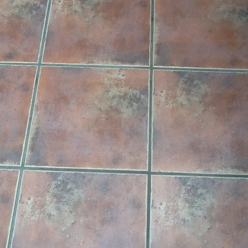 moonphil's profile picture. 