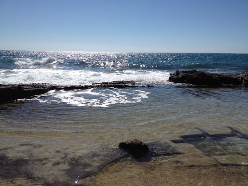 Finowkanal's profile picture. #fuckAFD