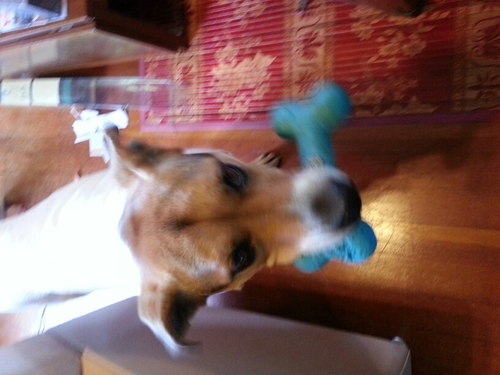 corinna3form's profile picture. 3form Materials Consultant - Hawaii