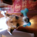 corinna bailey - @corinna3form - Twitter