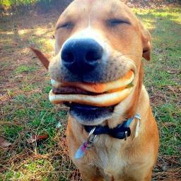 Hahabrilliant Profile Picture