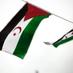 Western Sahara Action Forum (@wsaforum) Twitter profile photo Western Sahara Action Forum (@wsaforum) Twitter profile photo