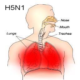 AVIARIUS_INFLUE's profile picture. 