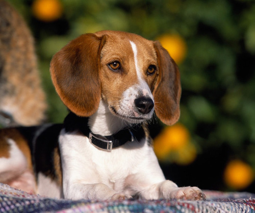 EvlynY565688r's profile picture. 大切なことをノリで決めちゃうことがたまにある。おかげで只今ちょっぴり軌道を外れた生活してます。よく他人からは元気がいいとかポジティブとかいわれます。でも本人は体が弱いし怠け者だと確信してます。