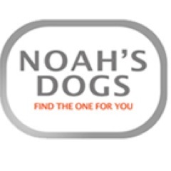 Noahs_dogs's profile picture. Welcome to Noah’s Dogs, the new matchmaking website for dogs and dog lovers. Browse the site to view dogs for adoption in U.K. & U.S.