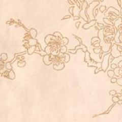 Check out our new website!
http://t.co/FOSB4iMgbY