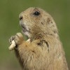 дружу, работаю, общаюсь #TeamFollowBack #FOLLOWBACK