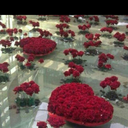 سطام (@00Satam) Twitter