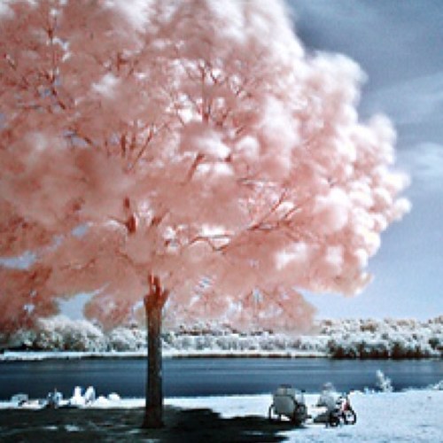 NoOo18oRoI's profile picture. かりゆし58大好き♪