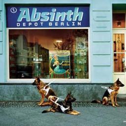 One of Europe's largest selection of fine quality Absinth and Absinth products -a quaint hideaway with character to boot in the heart of Berlin Mitte.