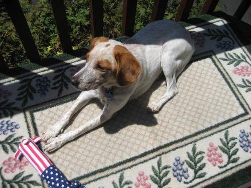 mollybbb's profile picture. 