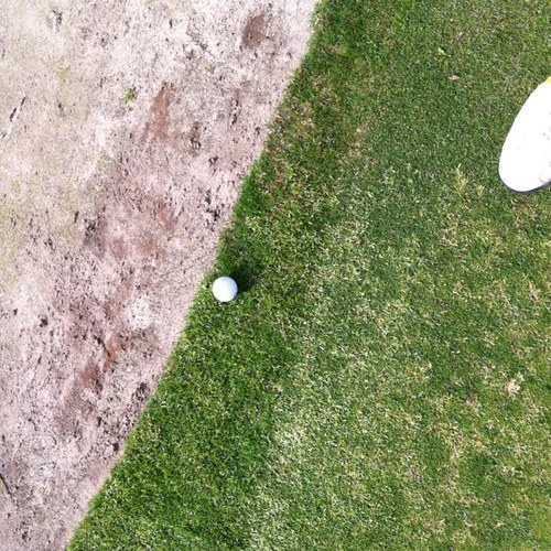 scOeeeS's profile picture. Golf Finance Sport