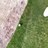 scOeeeS's profile image