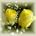 Mary Kay Cooley - @MaryKay1005 - Twitter