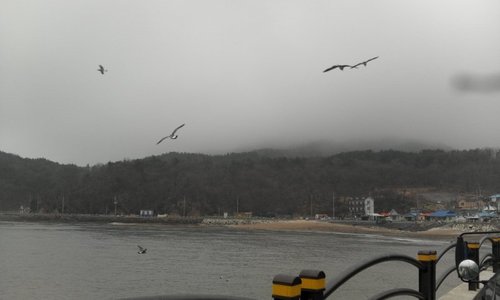 인천공항  바로옆  실미도 촬영지 김남일 선수고향