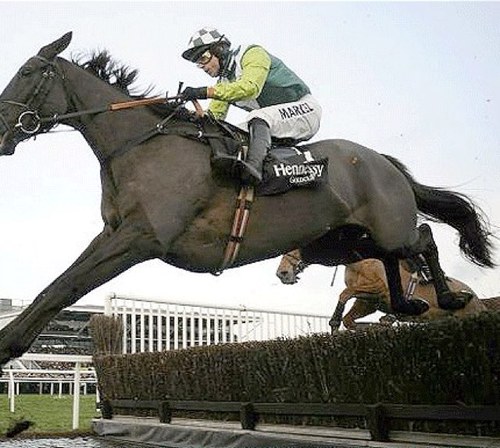 puntershelper's profile picture. Unique betting advisory service offering solid value bets. All selections verified by an independent proofing website. Please contact me via the webpage.