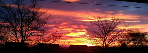 tarapollard74's profile picture. 