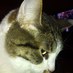 Steve Gooch ๐บ๐ฒ (@sw_gooch) Twitter profile photo Steve Gooch ๐บ๐ฒ (@sw_gooch) Twitter profile photo